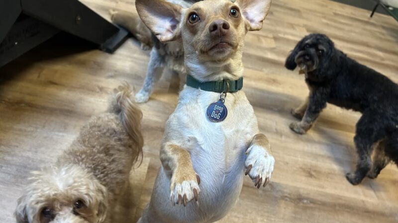 Martha's Garden - Seattle, WA