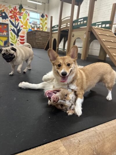 Martha's Garden - Seattle, WA