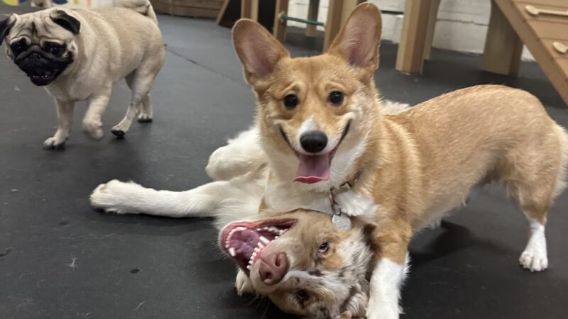 Martha's Garden - Seattle, WA