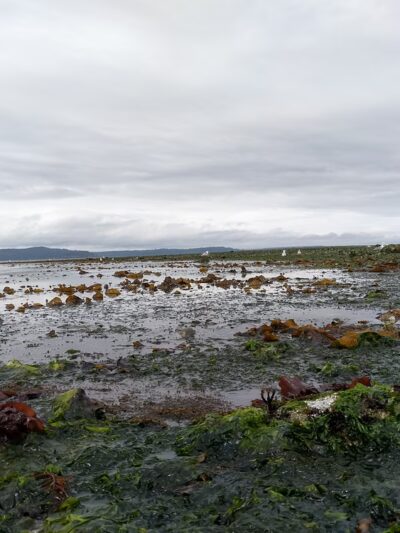 Me-Kwa-Mooks Park - Seattle, WA