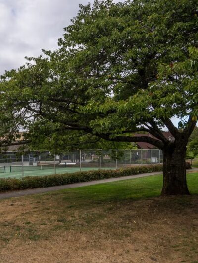 Montlake Playfield Park - Seattle, WA