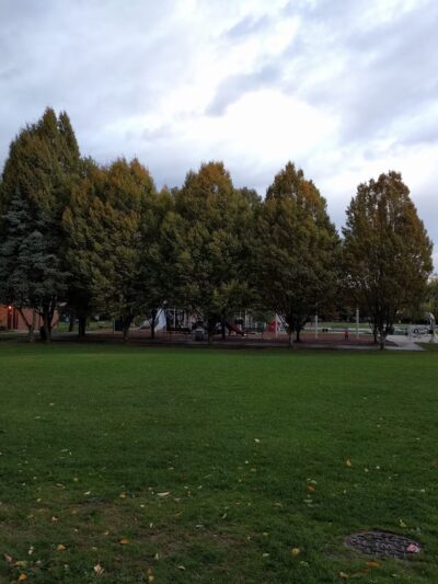 Montlake Playfield Park - Seattle, WA