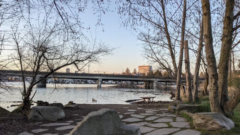 Montlake Playfield Park - Seattle, WA