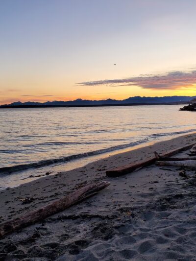 Myrtle Edwards Park - Seattle, WA