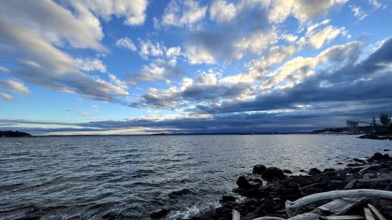 Myrtle Edwards Park - Seattle, WA