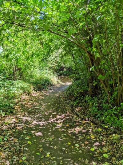 North Shorewood Park - Seattle, WA