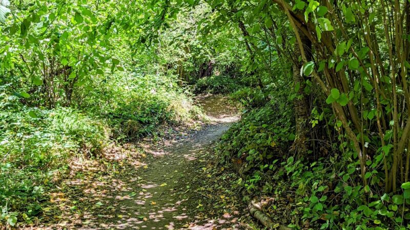 North Shorewood Park - Seattle, WA
