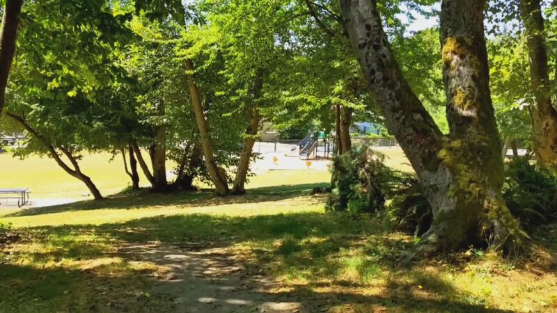 North Shorewood Park - Seattle, WA