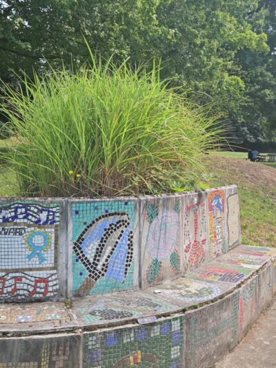 Powell Barnett Park - Seattle, WA