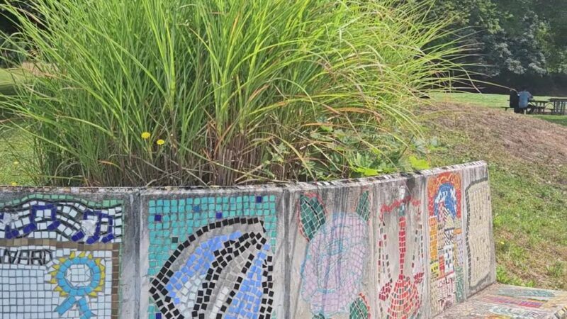 Powell Barnett Park - Seattle, WA