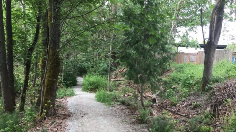 Puget Park - Seattle, WA