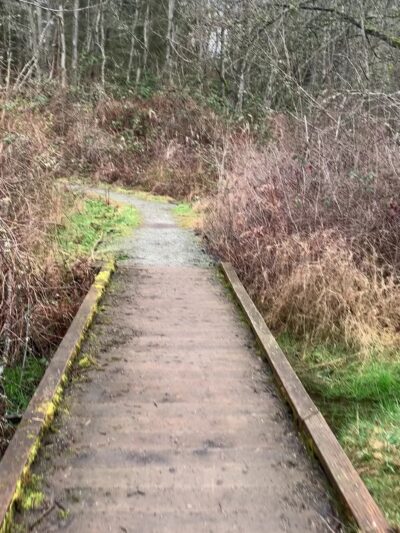 Puget Park - Seattle, WA