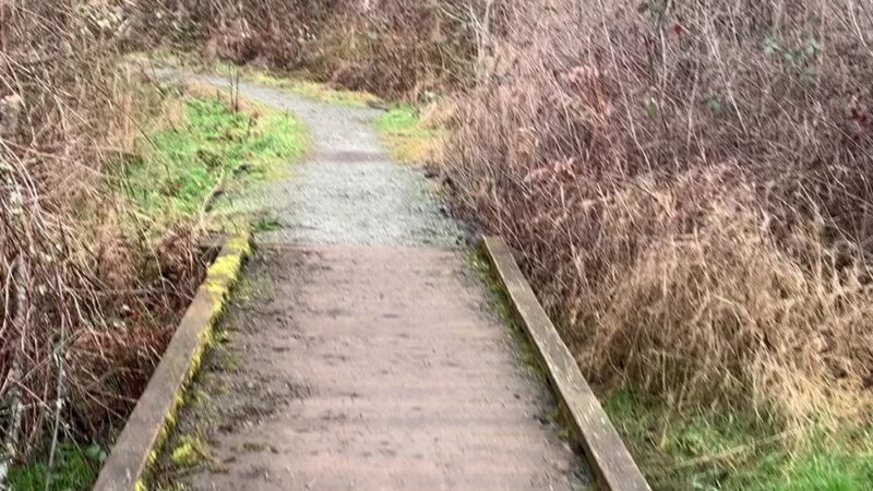 Puget Park - Seattle, WA