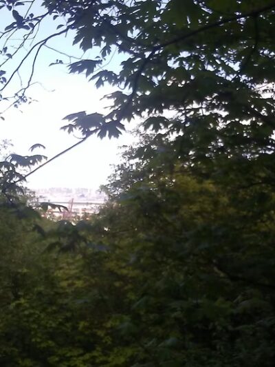 Puget Park - Seattle, WA