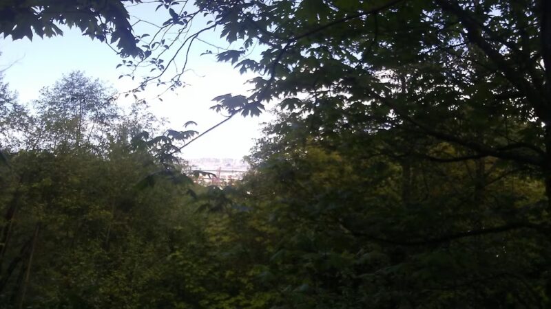 Puget Park - Seattle, WA