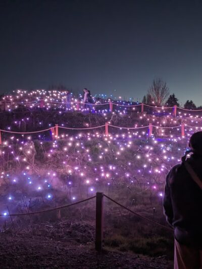 Puget Park - Seattle, WA