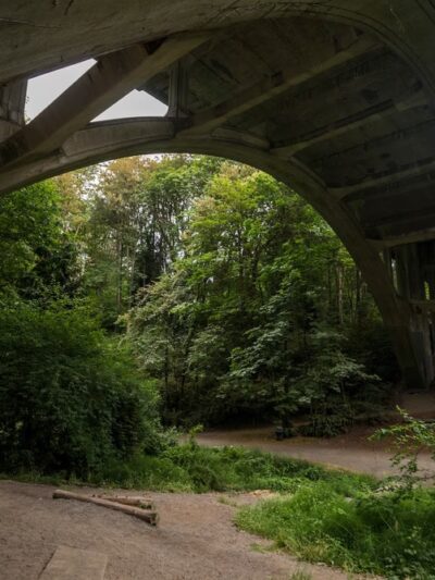 Ravenna Park - Seattle, WA