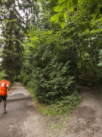 Ravenna Park - Seattle, WA