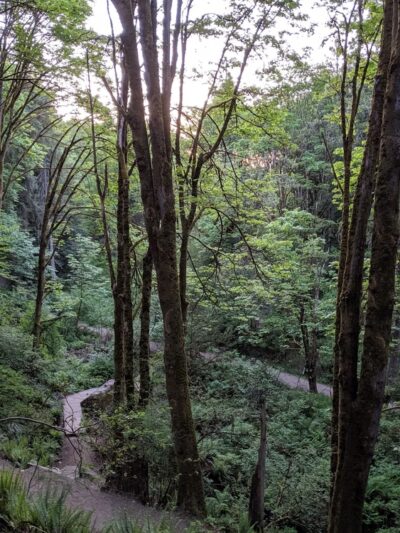 Ravenna Park - Seattle, WA