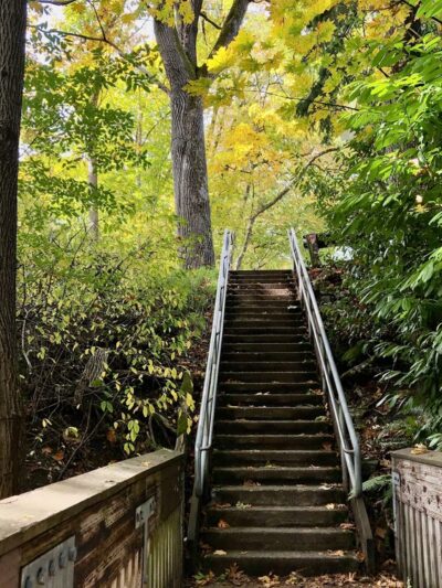 Ravenna Park - Seattle, WA