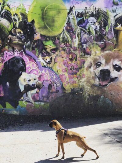 Regrade Park - Seattle, WA