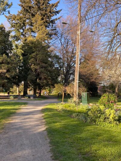 Roanoke Park - Seattle, WA