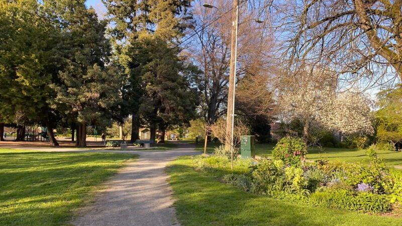 Roanoke Park - Seattle, WA