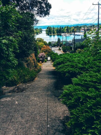 Roanoke Park - Seattle, WA