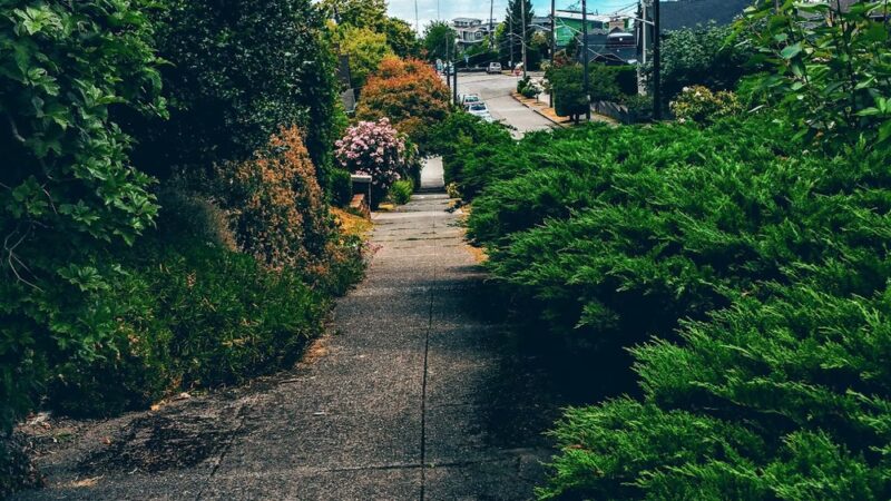 Roanoke Park - Seattle, WA