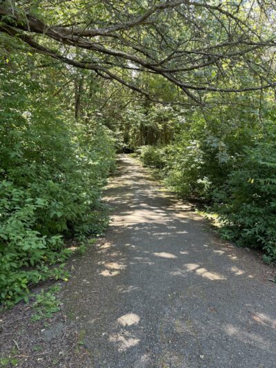 Schmitz Park Trailhead - Seattle, WA