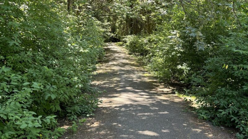 Schmitz Park Trailhead - Seattle, WA