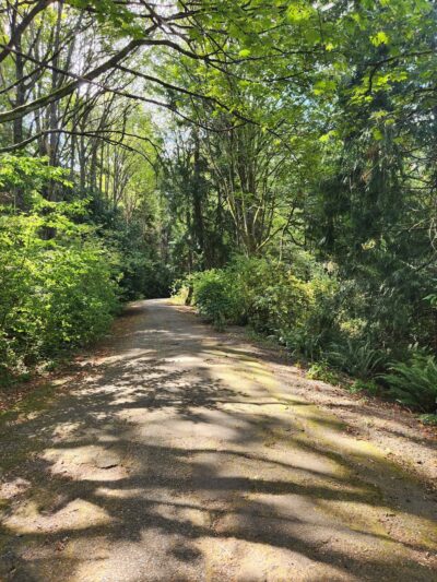 Schmitz Preserve Park - Seattle, WA