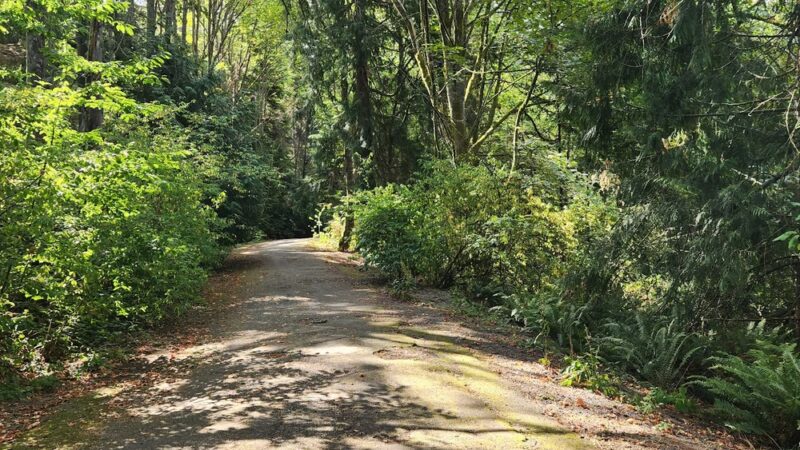 Schmitz Preserve Park - Seattle, WA