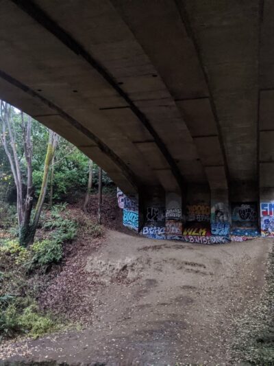 Schmitz Preserve Park - Seattle, WA