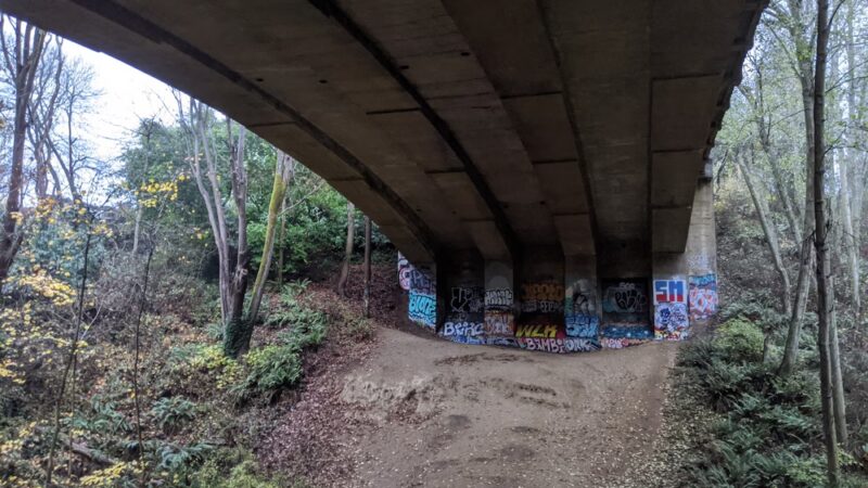 Schmitz Preserve Park - Seattle, WA