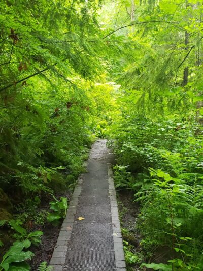 Schmitz Preserve Park - Seattle, WA