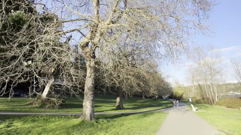 Seward Park - Seattle, WA