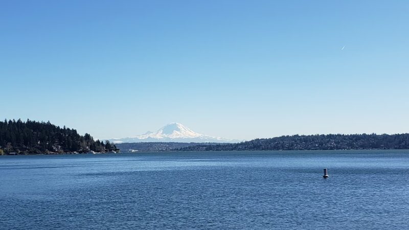 Seward Park - Seattle, WA