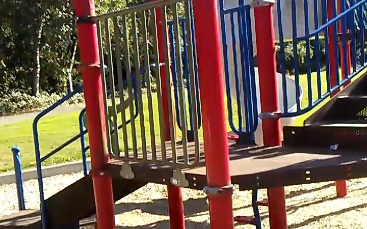 Skyway Park - Seattle, WA