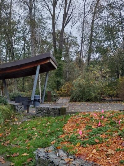 Skyway Park - Seattle, WA