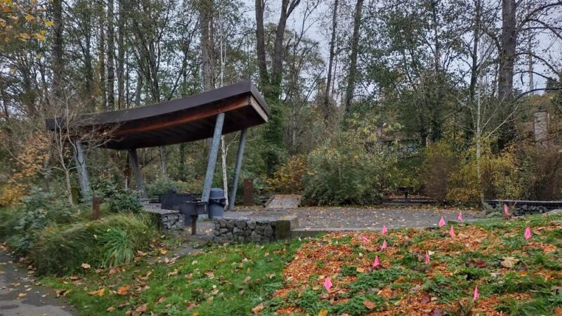 Skyway Park - Seattle, WA