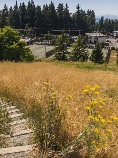 Solstice Park - Seattle, WA