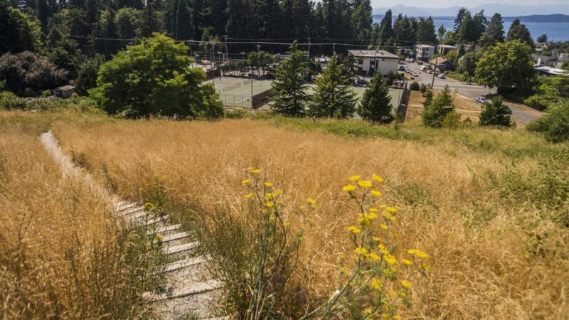 Solstice Park - Seattle, WA