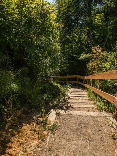 Solstice Park - Seattle, WA