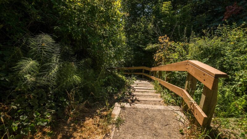 Solstice Park - Seattle, WA