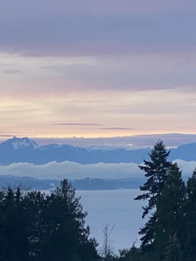 Solstice Park - Seattle, WA