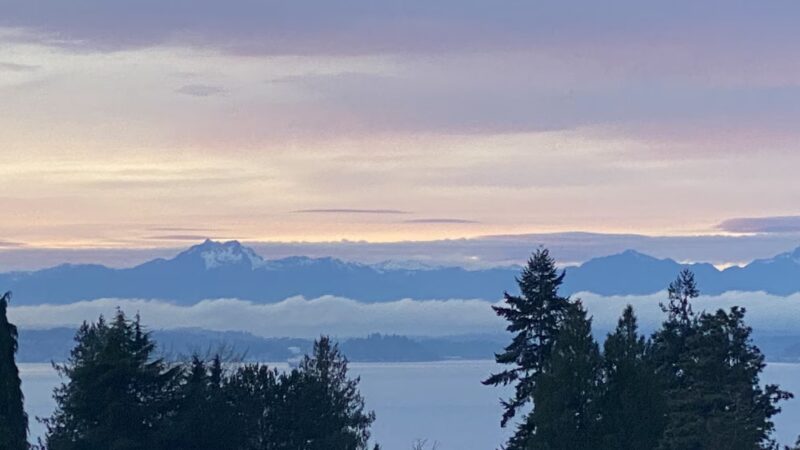 Solstice Park - Seattle, WA