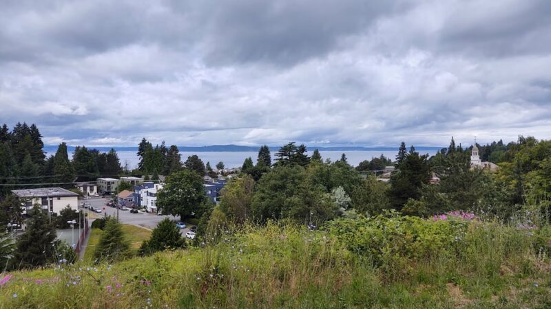 Solstice Park - Seattle, WA