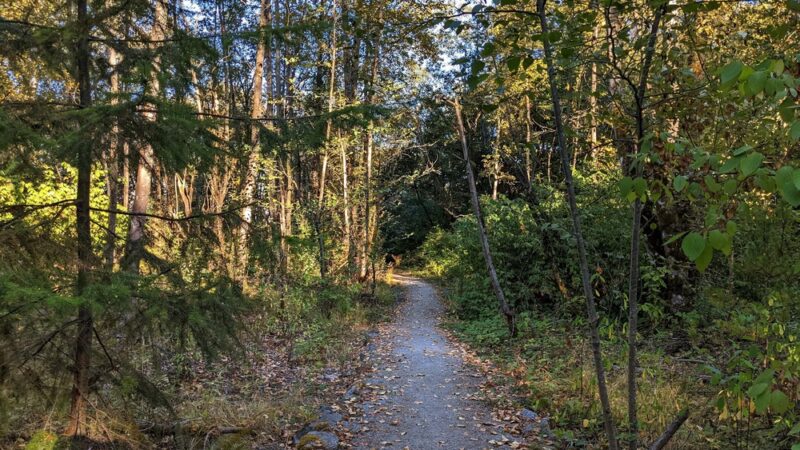 Soundway Park - Seattle, WA