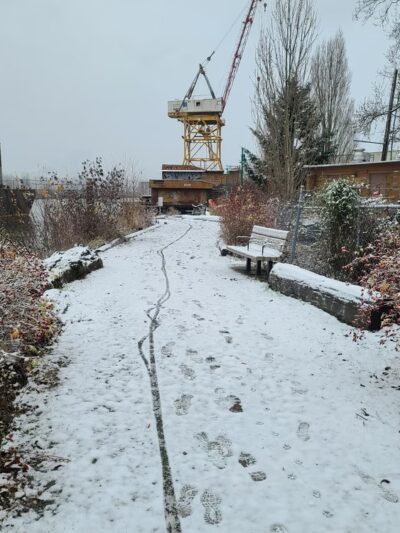 t̓ałt̓ałucid Park and Shoreline Habitat (formerly 8th Ave S Street End) - Seattle, WA